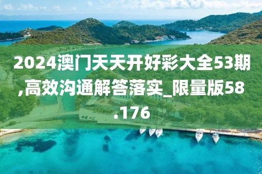 2024澳门天天开好彩大全53期,高效沟通解答落实_限量版58.176
