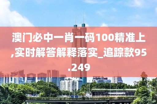 澳门必中一肖一码100精准上,实时解答解释落实_追踪款95.249
