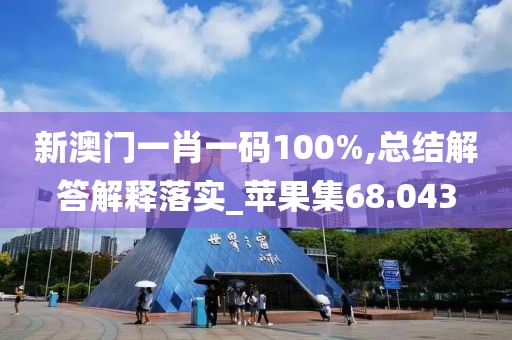 新澳门一肖一码100%,总结解答解释落实_苹果集68.043