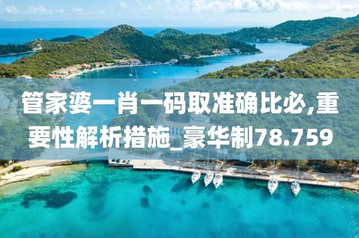 管家婆一肖一码取准确比必,重要性解析措施_豪华制78.759