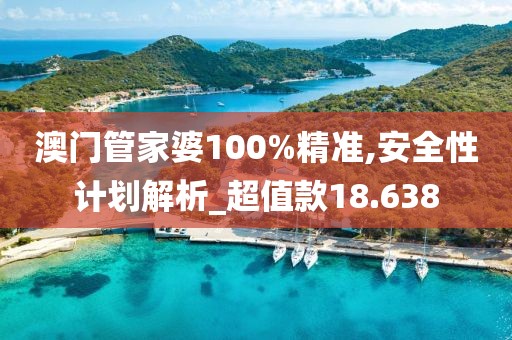 澳门管家婆100%精准,安全性计划解析_超值款18.638