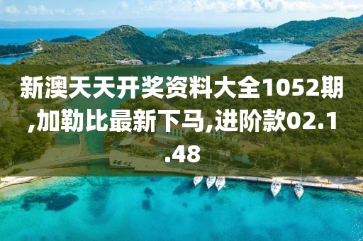 新澳天天开奖资料大全1052期,加勒比最新下马,进阶款02.1.48