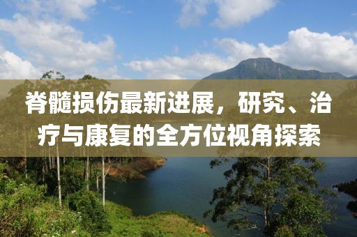 脊髓损伤最新进展，研究、治疗与康复的全方位视角探索