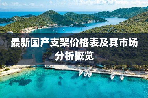 最新国产支架价格表及其市场分析概览