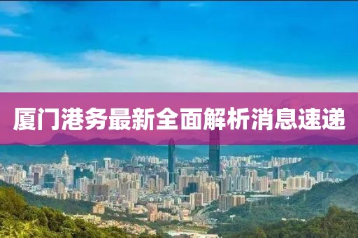 厦门港务最新全面解析消息速递