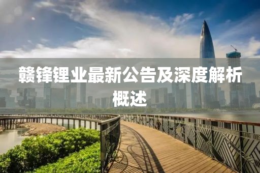 赣锋锂业最新公告及深度解析概述