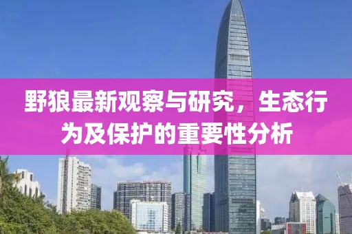 野狼最新观察与研究，生态行为及保护的重要性分析