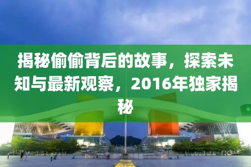 揭秘偷偷背后的故事，探索未知与最新观察，2016年独家揭秘