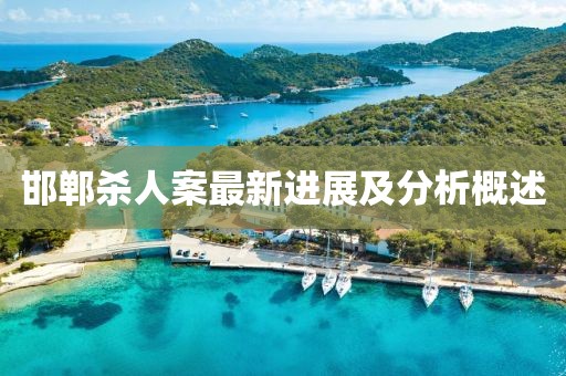 邯郸杀人案最新进展及分析概述