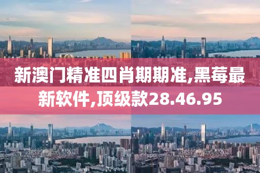 新澳门精准四肖期期准,黑莓最新软件,顶级款28.46.95