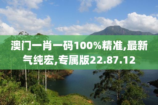 澳门一肖一码100%精准,最新气纯宏,专属版22.87.12