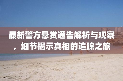 最新警方悬赏通告解析与观察，细节揭示真相的追踪之旅