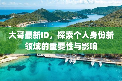 大哥最新ID，探索个人身份新领域的重要性与影响