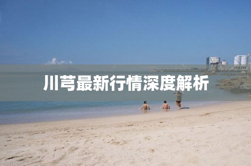 川芎最新行情深度解析