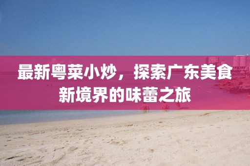最新粤菜小炒，探索广东美食新境界的味蕾之旅