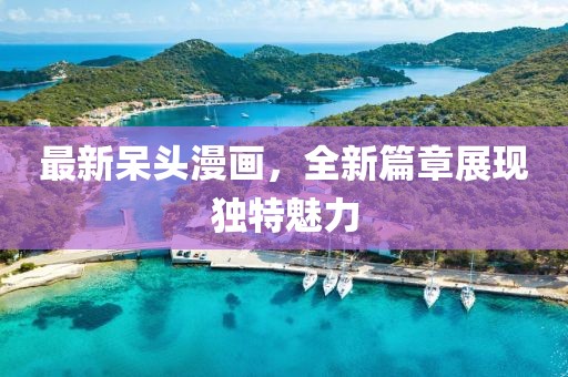 最新呆头漫画，全新篇章展现独特魅力