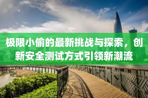 极限小偷的最新挑战与探索，创新安全测试方式引领新潮流