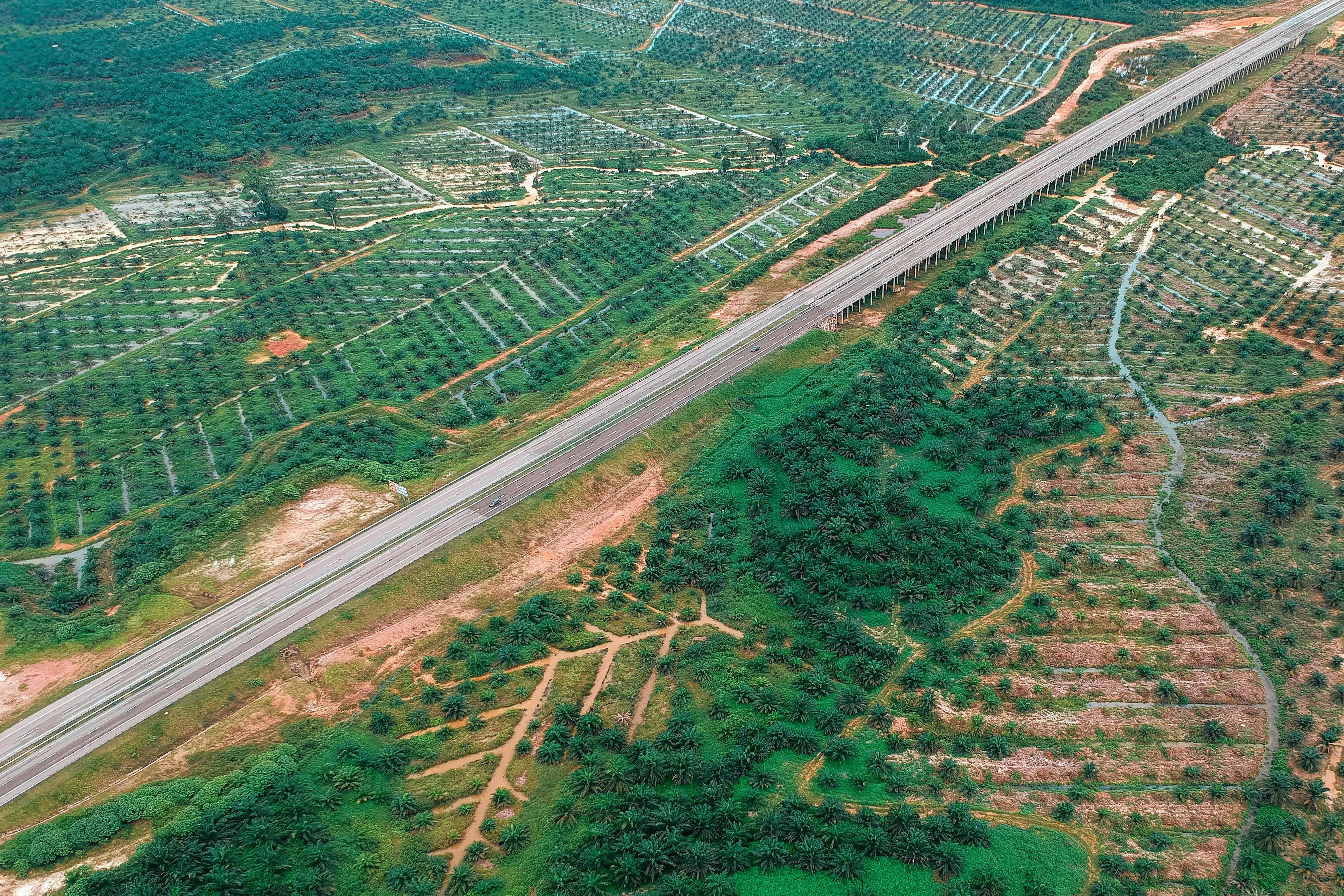 徐水公路规划最新消息全面解读与分析