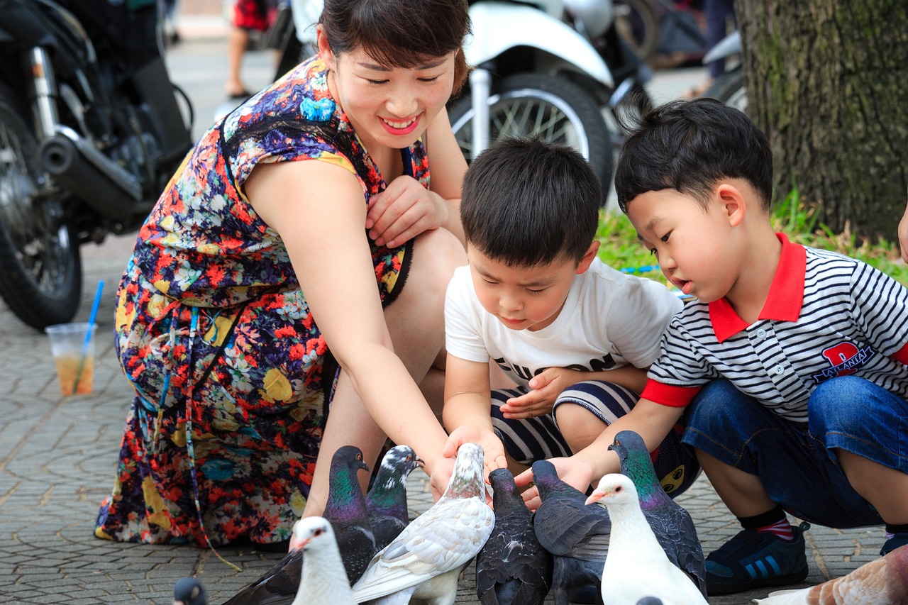 最新胎教故事集锦，孕育爱与智慧的种子之旅