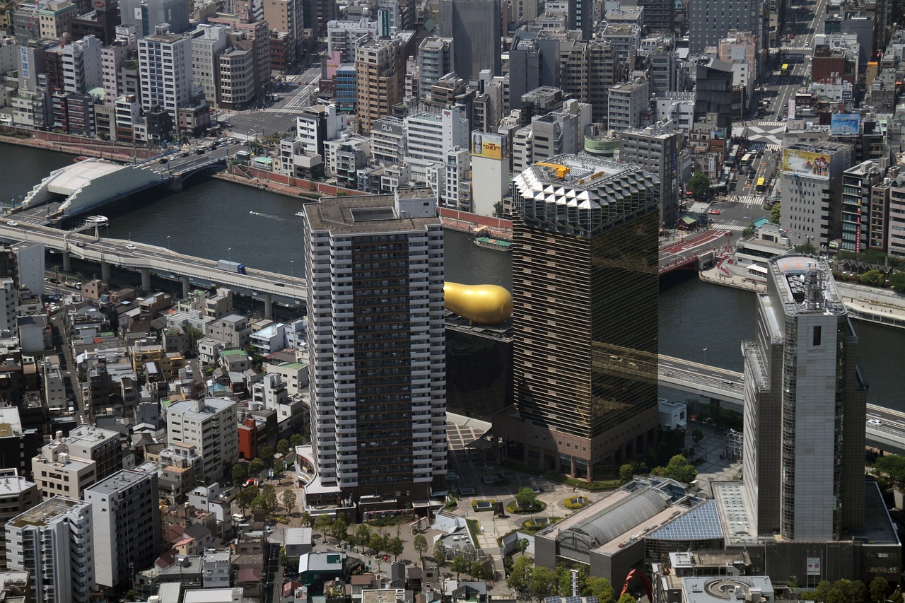 2024年11月 第10页